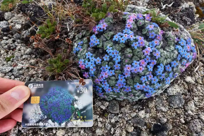 图片[24]| 科技爱好者周刊（第 320 期）：乒乓仓| 小妖客栈